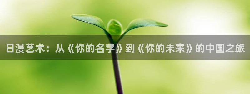 喵趣漫画纯净版：日漫艺术：从《你的名字》到《你的未来》的中国之旅