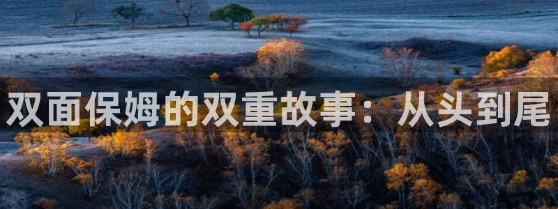喵趣漫画2026：双面保姆的双重故事：从头到尾