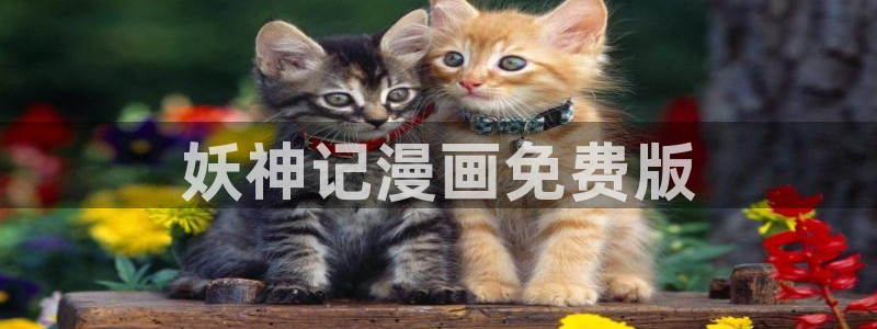 喵趣漫画怎么下载安装：妖神记漫画免费版