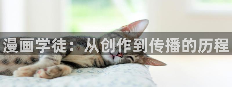 喵趣漫画下载官网：漫画学徒：从创作到传播的历程