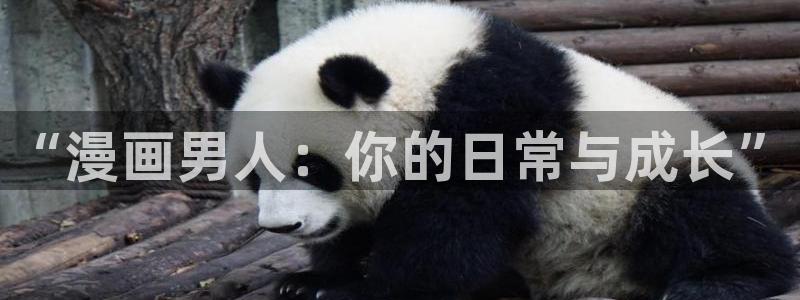 喵趣漫画官网下载入口：“漫画男人：你的日常与成长”